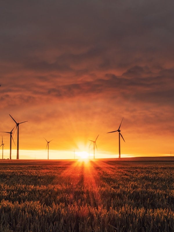 Está preparado para o próximo apagão? Como garantir energia quando a rede falha